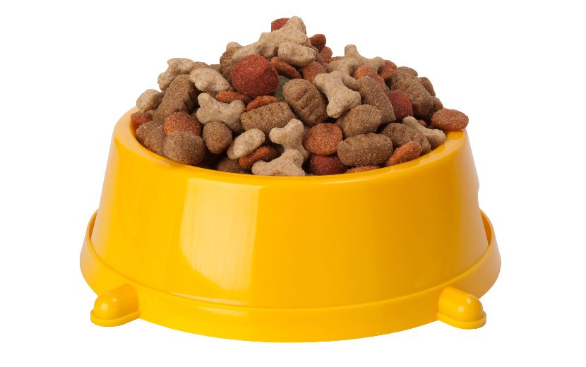 Comedouros de plástico para cães Comedouros de plástico para cães